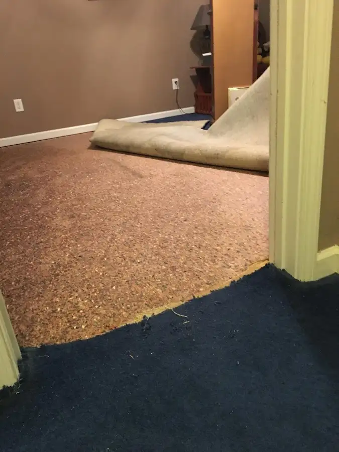 Carpet pad removal revealing water damage during Water Mitigation Services in Wyoming